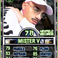 MISTER V SAISON 2020