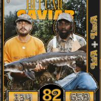 ISHA & LIMSA - BITUME CAVIAR